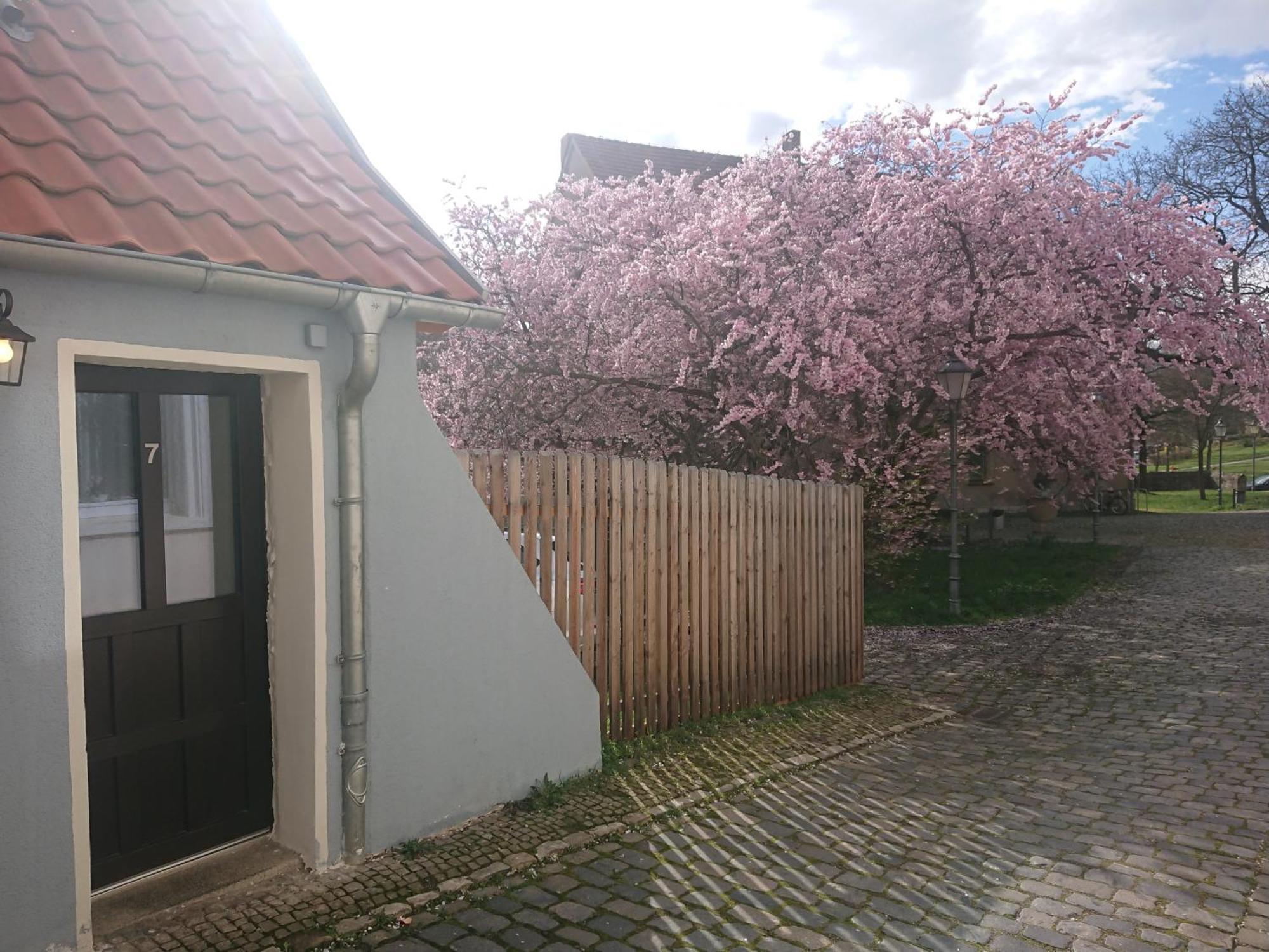Ferienhaus Aschersleben Esterno foto